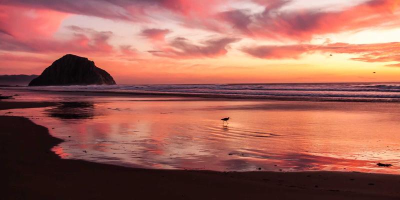 从生产线到药柜：恒源达药业智能化升级如何重塑健康管理与药品零售新体验