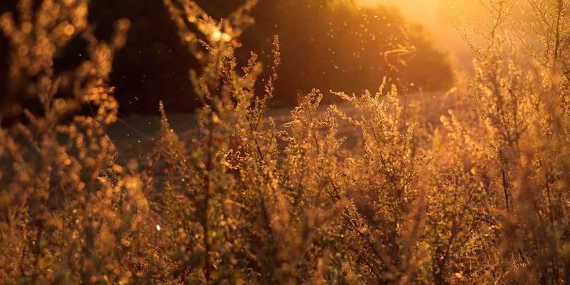 从研发到零售：恒源达药业如何以关键技术突破，重塑生物类似药健康服务新生态