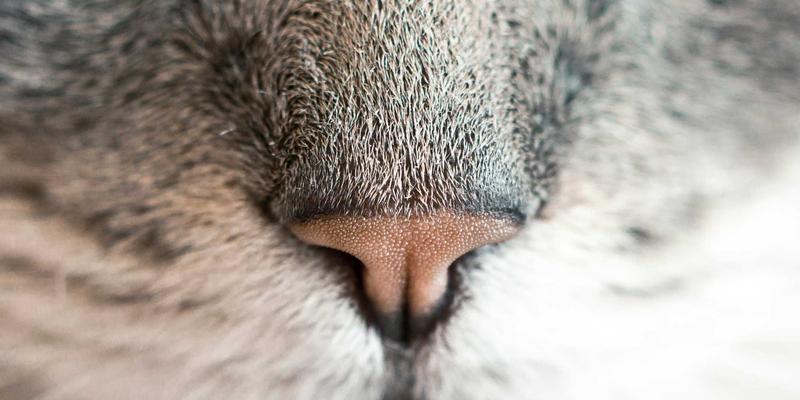 恒源达药业供应链金融：以健康管理为核心，构建医药产业生态新范式