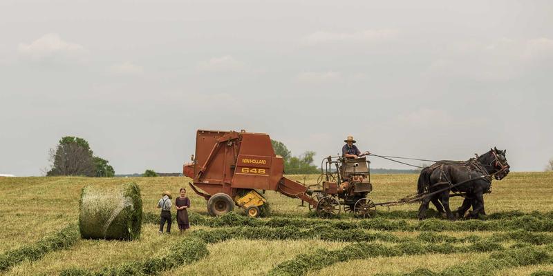恒源达药业如何借力MAH制度实现轻资产运营，重塑药品销售与零售新格局