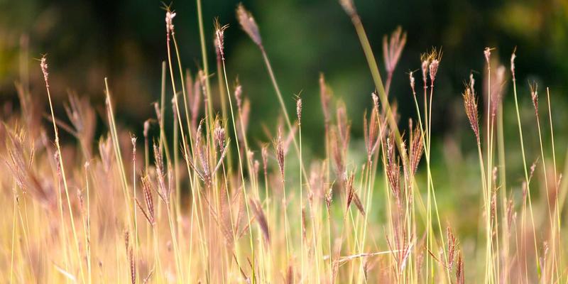 恒源达药业如何通过DTP药房模式，以专业健康咨询与健康管理重塑重症患者服务价值