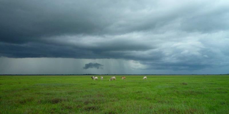 恒源达药业数字化营销实践：以专业内容重塑药品零售与健康咨询新生态