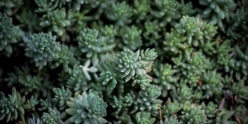 恒源达药业智能制造工厂：数字化如何重塑药品生产效率与一致性